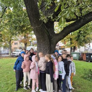 569050145_1308157004442614_3211853028041430234_n