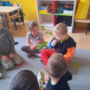 574246707_1312007917390856_8123490508049561535_n