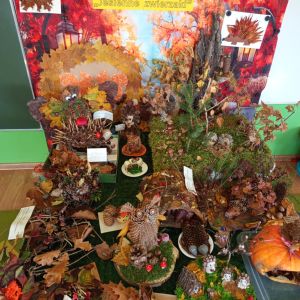 584730481_122284863626032372_7705303600495949698_n