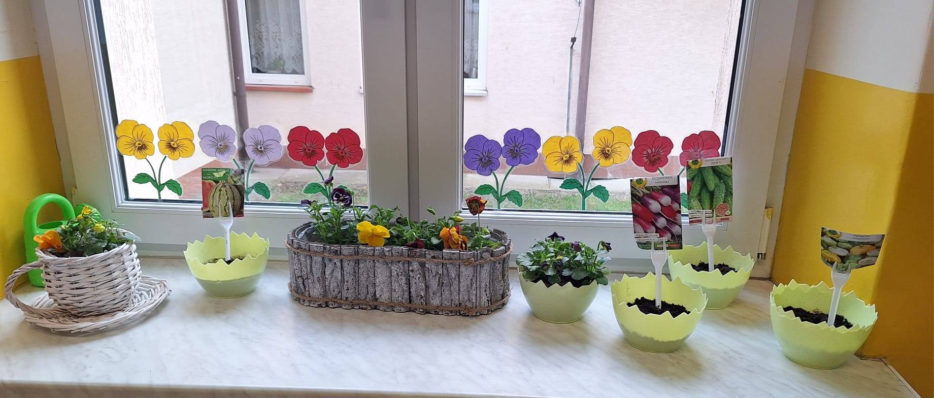 pachnie-wiosna-wokol